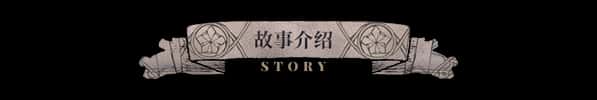 视觉数据4